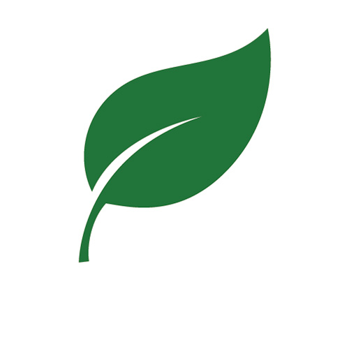 Icon of a leaf